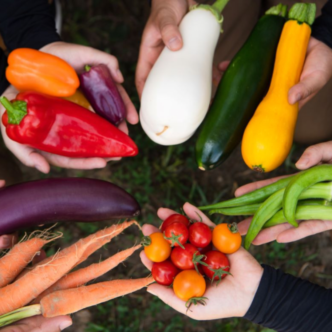 感動のクッキーを作っているPEAceNUTS Caféさんって??