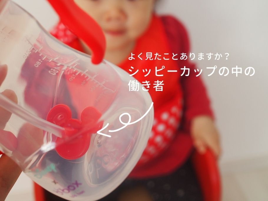 よく見たことありますか? シッピーカップの中の働き者