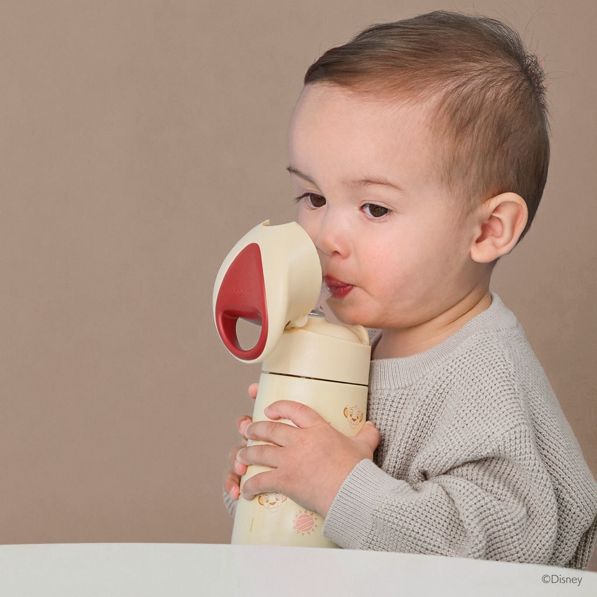 【2026年2月以降発売開始予定】ディズニー ステンレスドリンクボトル 350ml(ステンレス製水筒)/Disney Insulated drink bottle 350ml - Lion King