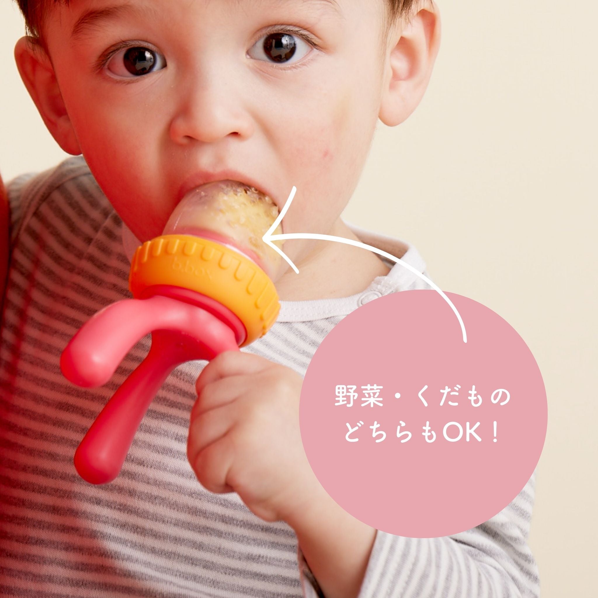 シリコンフレッシュフードフィーダー(離乳食フィーダー)/Silicone Fresh Food Feeder - blush