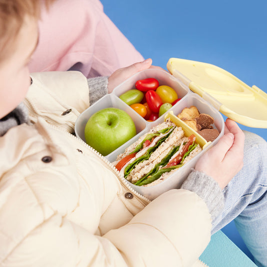 【New】ミニランチボックス(お弁当箱)/Mini Lunchbox - lemon twist