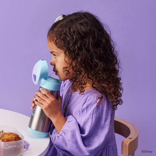 ディズニー ステンレスドリンクボトル 500ml(ステンレス製水筒)/Disney Insulated drink bottle 500ml - Frozen