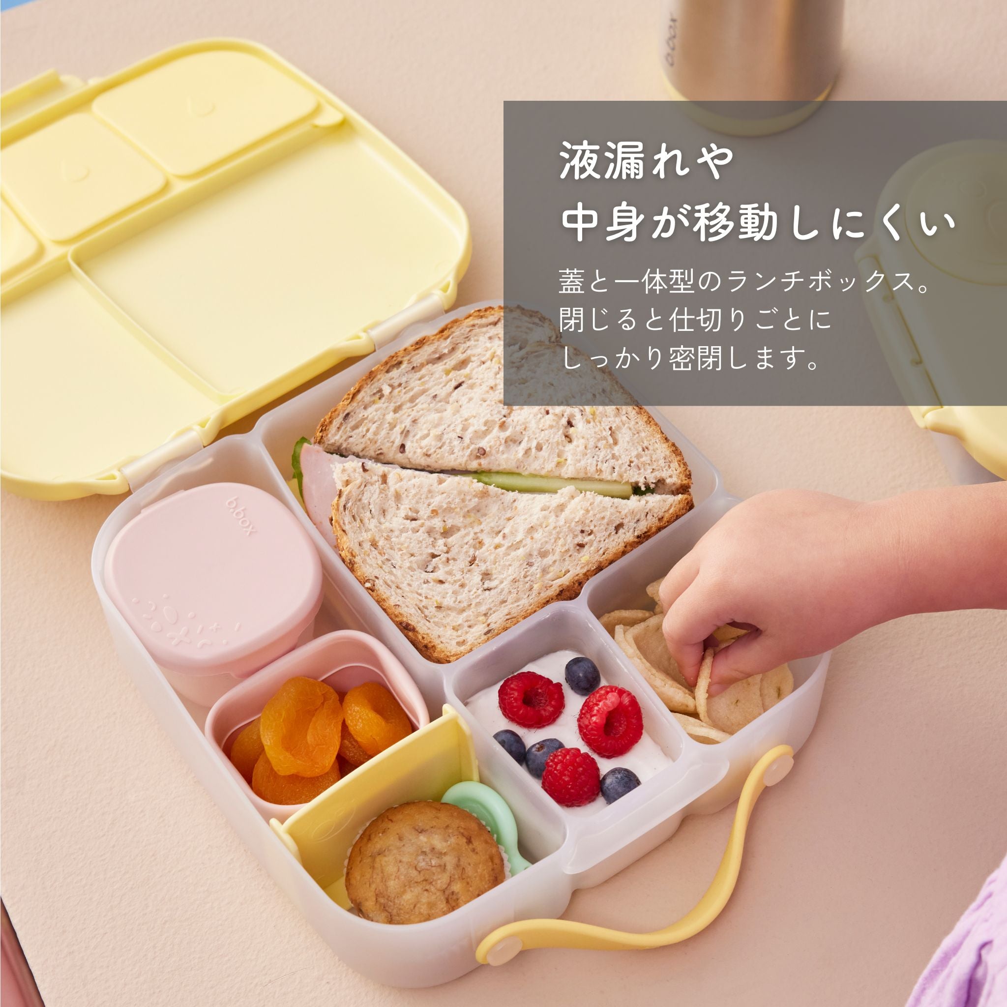 【New】ランチボックス(お弁当箱)/Lunchbox - night vision