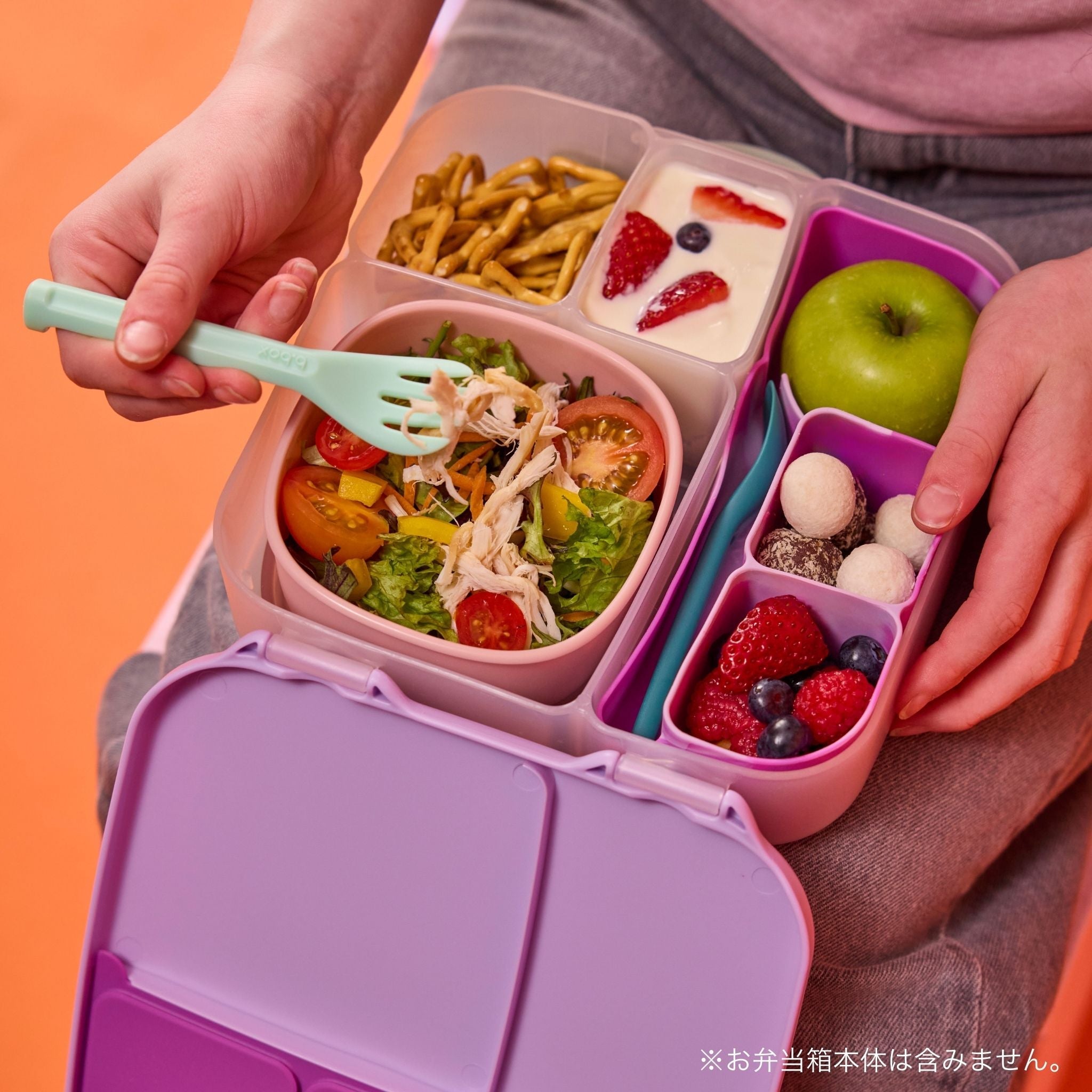 【New】ランチボックス用シリコントレー /silicone bento tray - lunch - forest