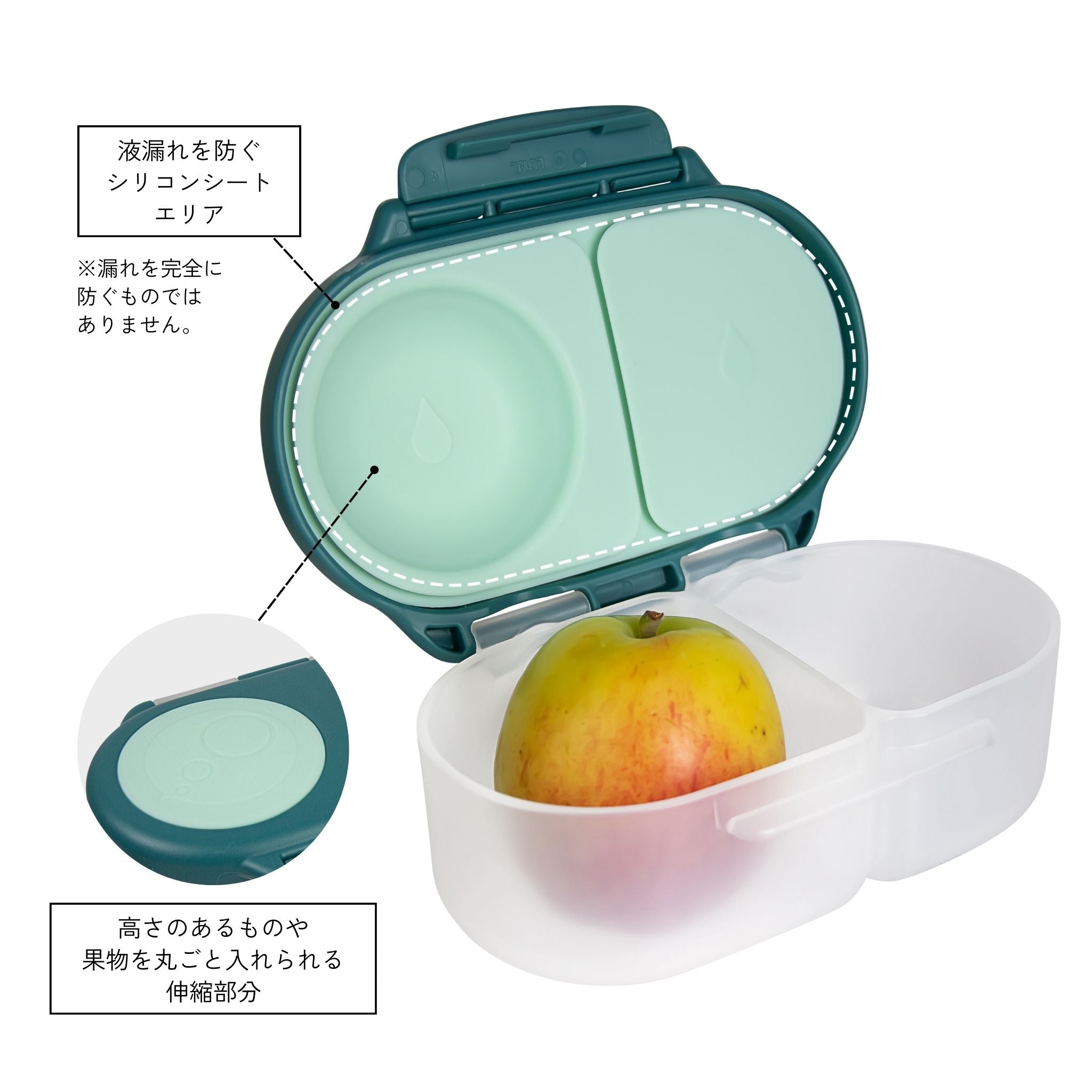 【New】スナックボックス(お弁当箱)/Snackbox - emerald forest