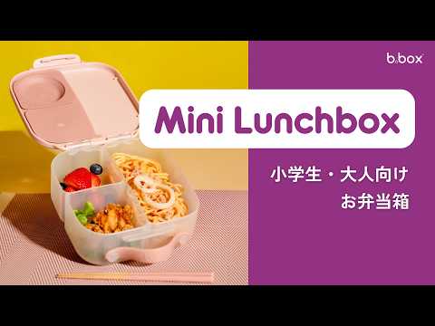 【New】ミニランチボックス(お弁当箱)/Mini Lunchbox - blush crush