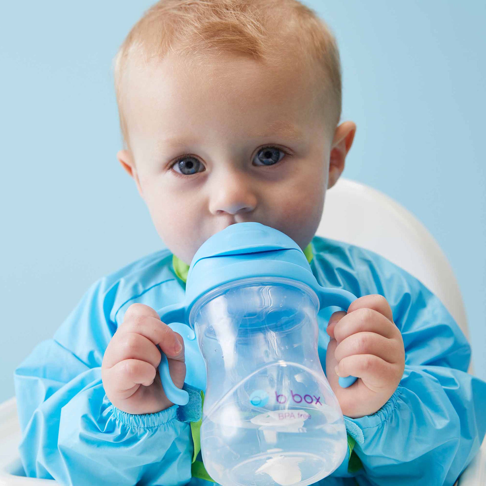 シッピーカップ(ストローマグ)/Sippy cup - blueberry