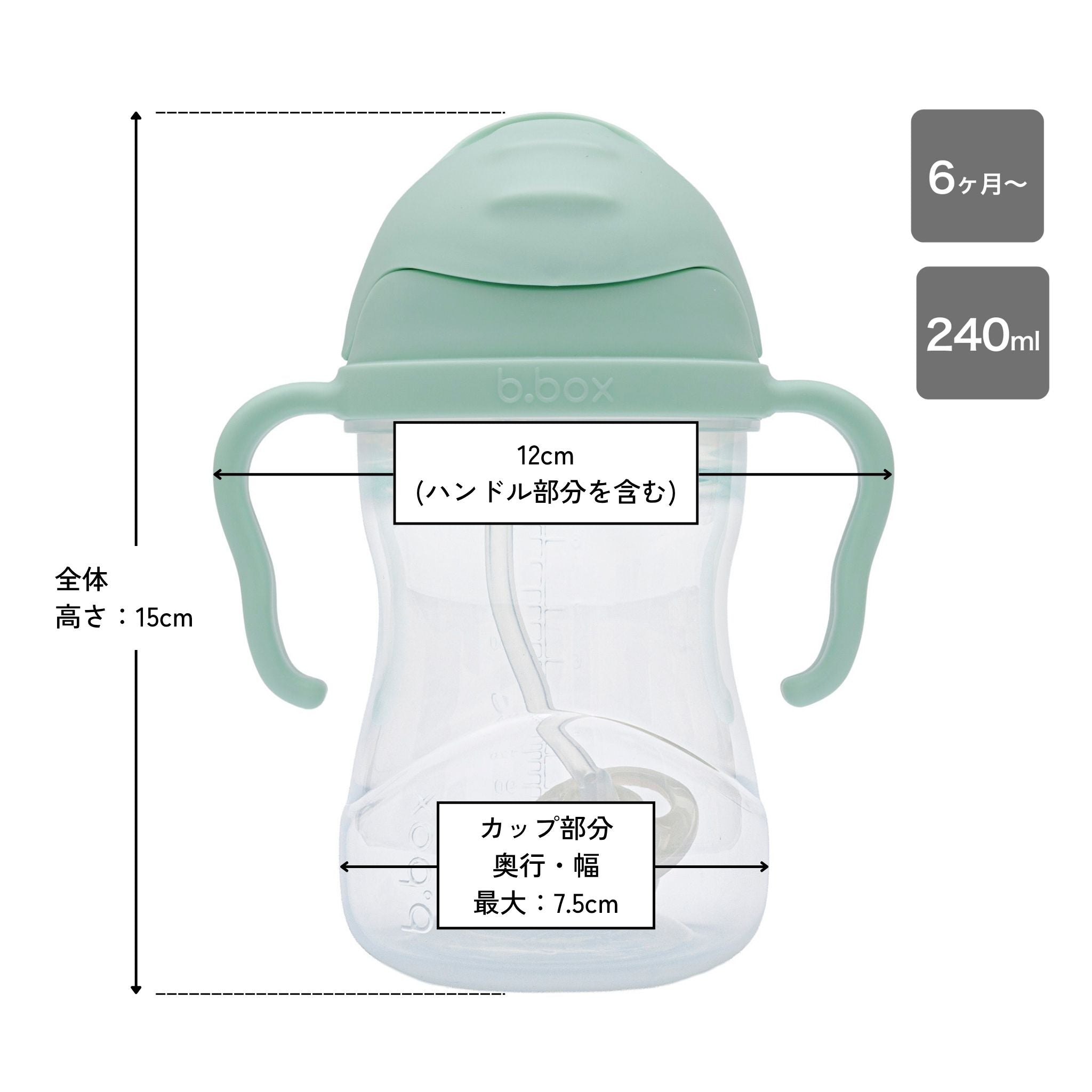 シッピーカップpistachioのサイズ