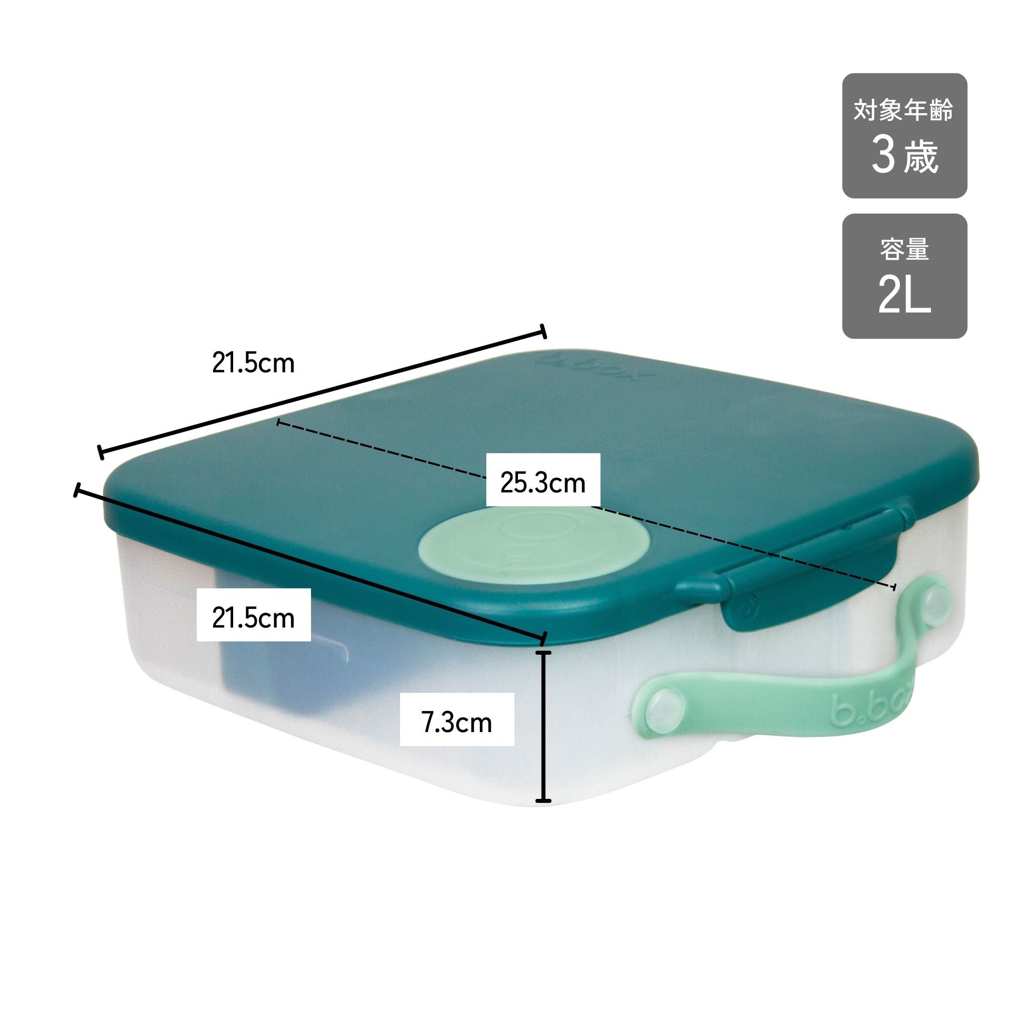 【New】ランチボックス(お弁当箱)/Lunchbox - emerald forest
