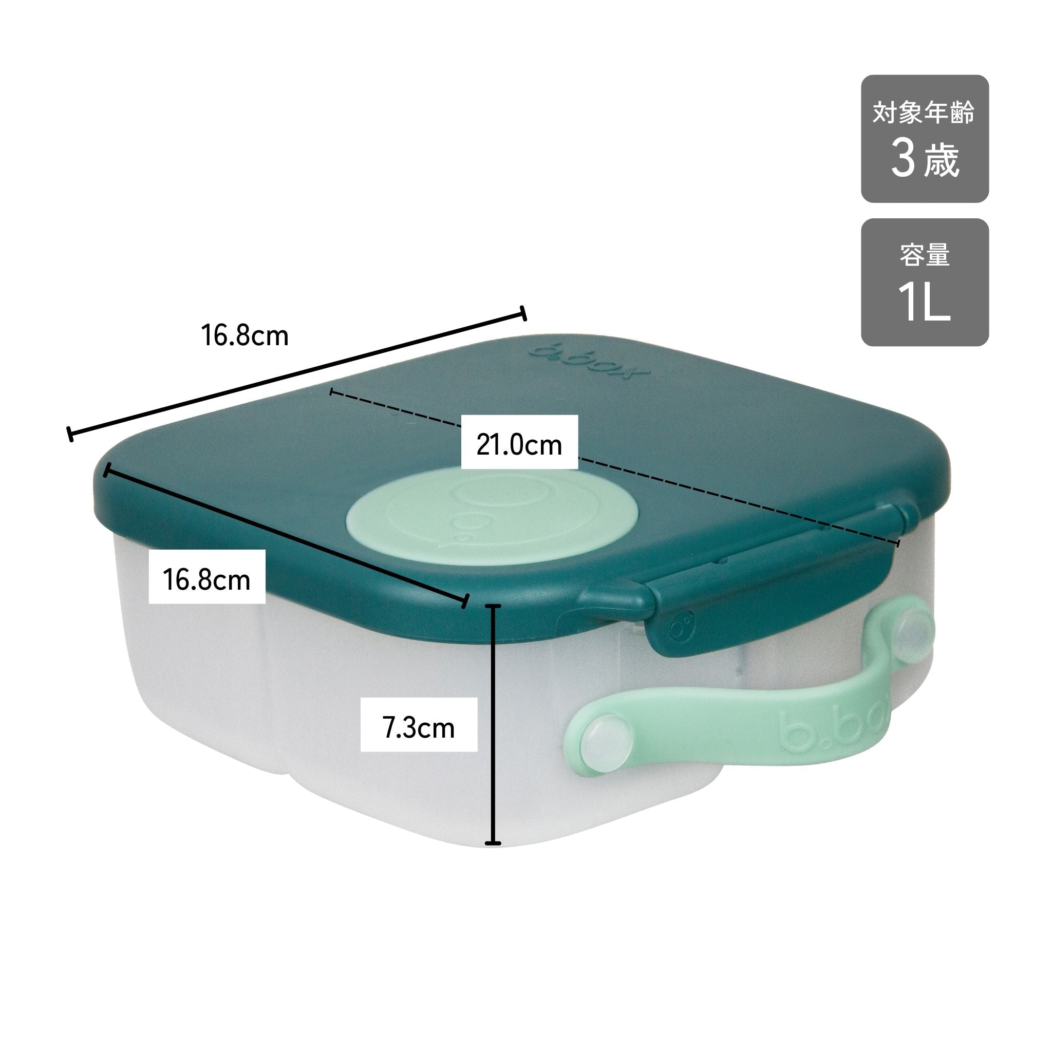 【New】ミニランチボックス(お弁当箱)/Mini Lunchbox - emerald forest