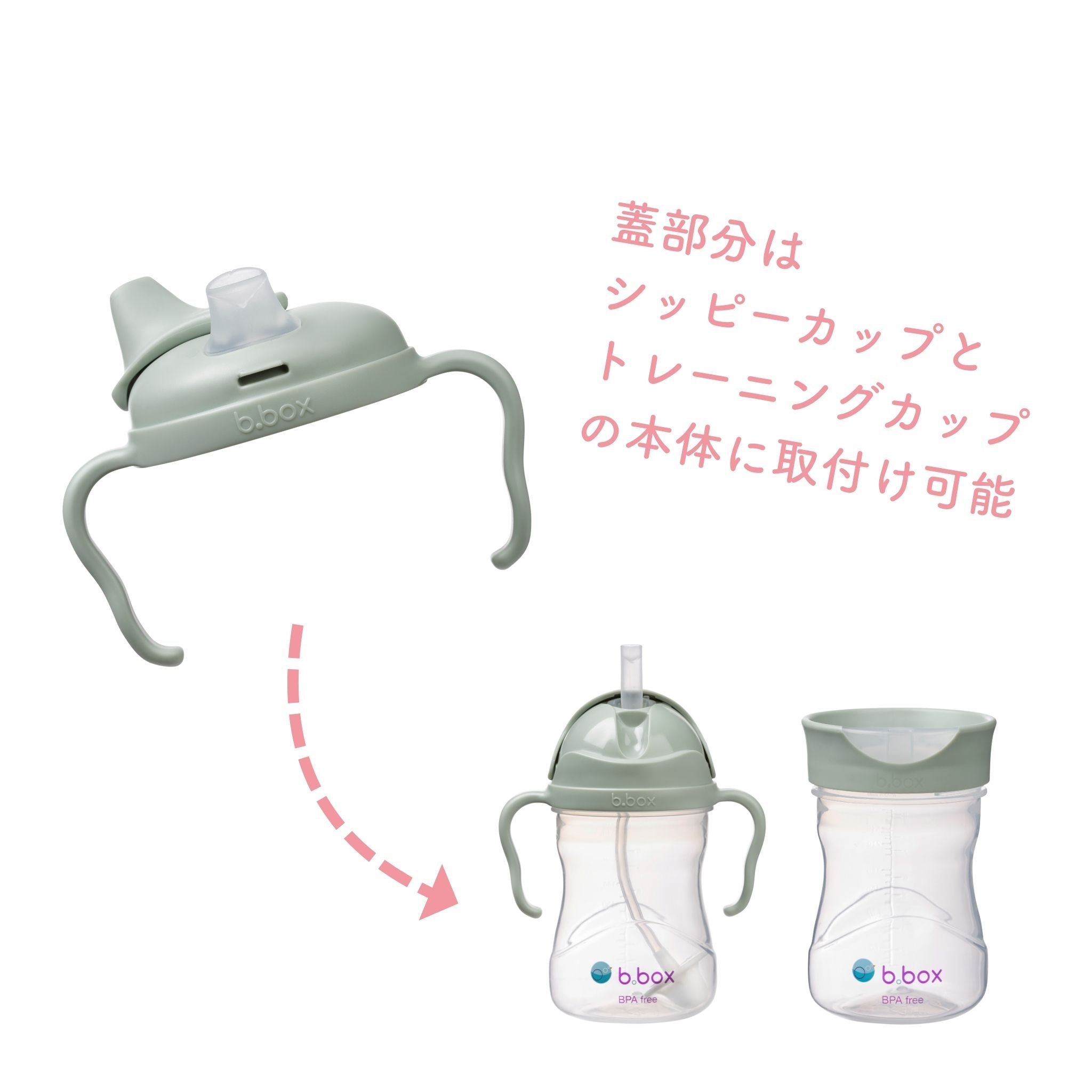 ビーボックススパウトカップsageの蓋はシッピーカップやトレニングカップと互換性がある