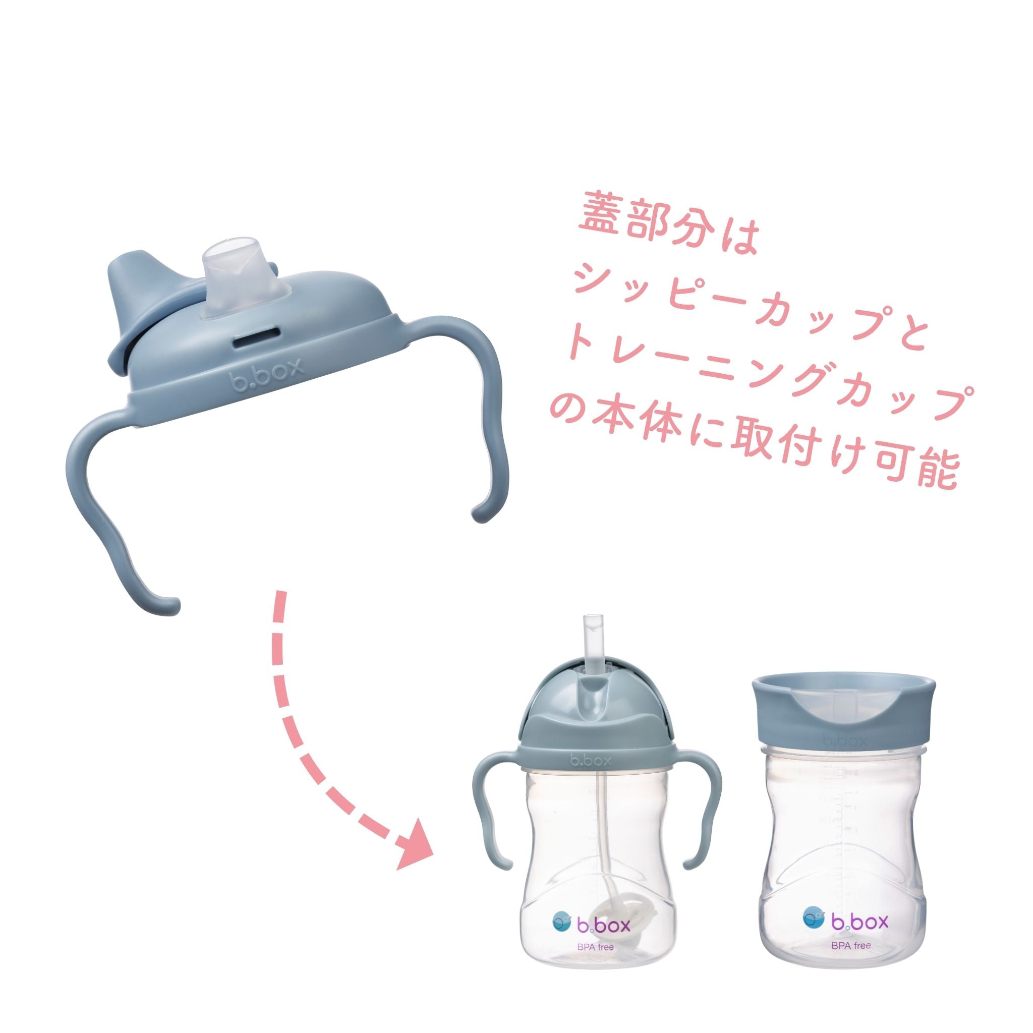 ビーボックススパウトカップoceanの蓋はシッピーカップやトレーニングカップと互換性がある