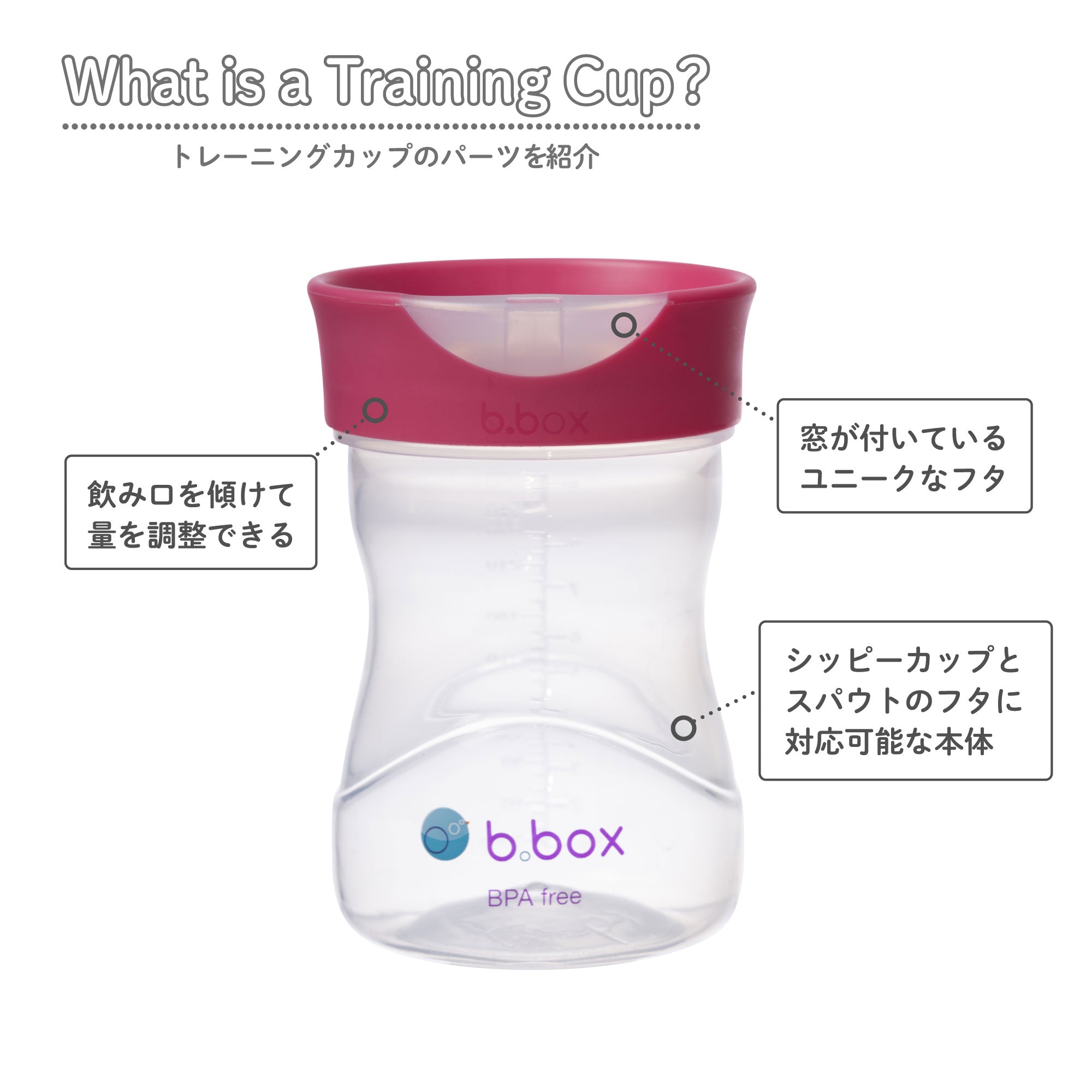 トレーニングカップ（コップ飲み練習用アイテム）/Training Cup - raspberry