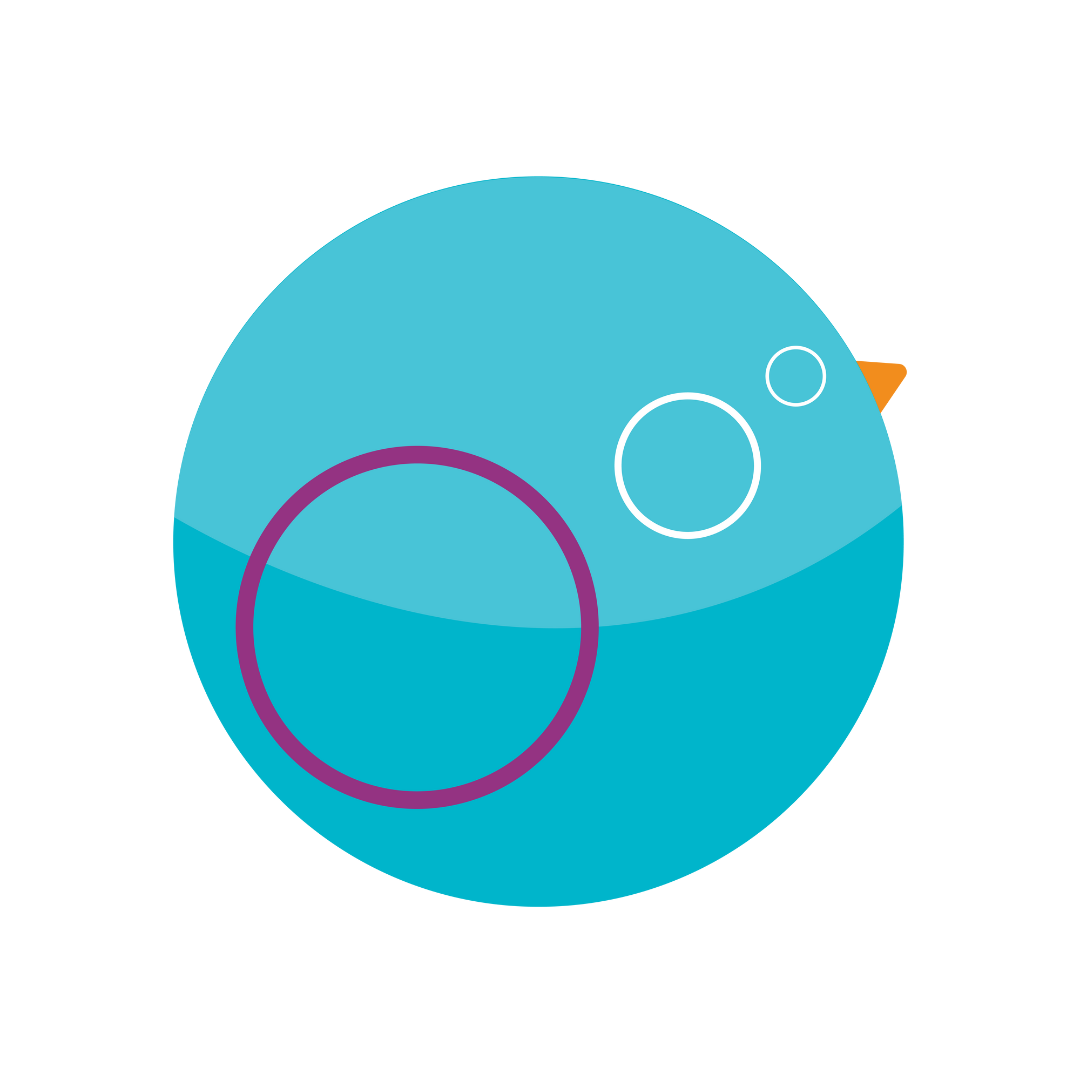 Alt text for the image