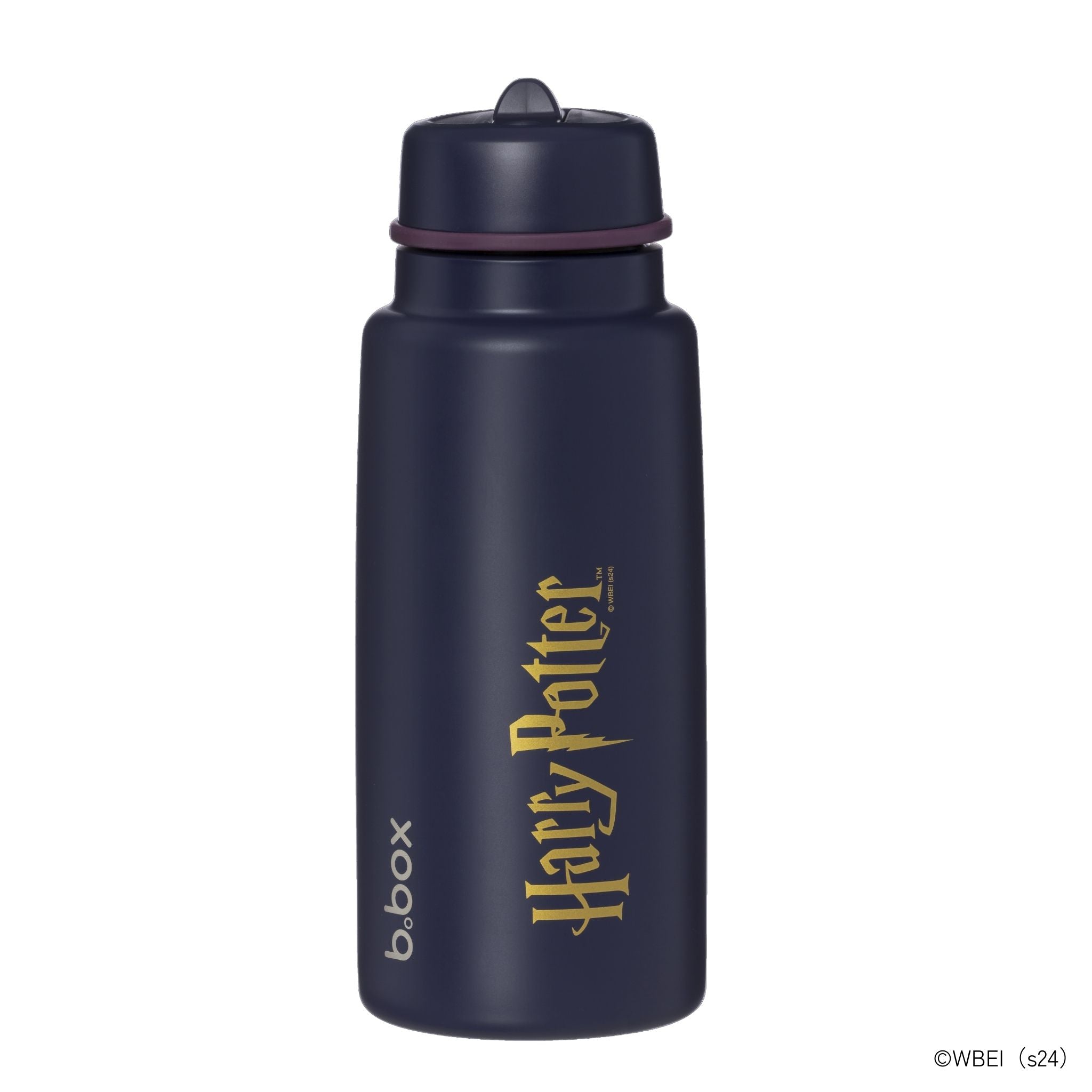 1L Insulated Flip Top Bottle-Harry Potter