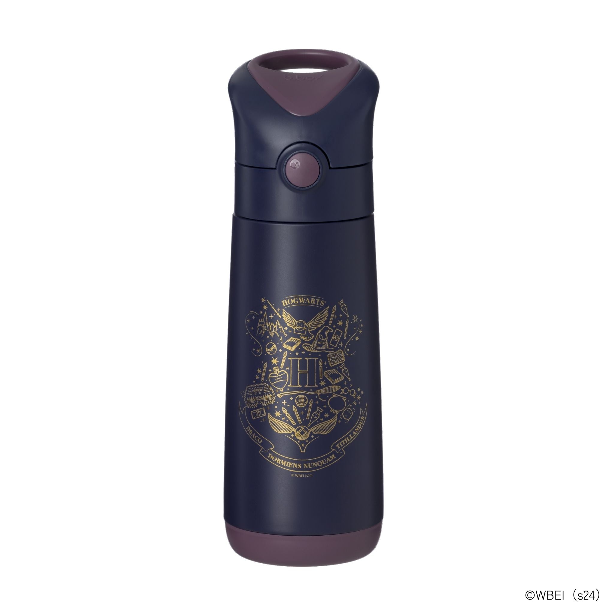 Insulated drink bottle 500ml-Harry Potter