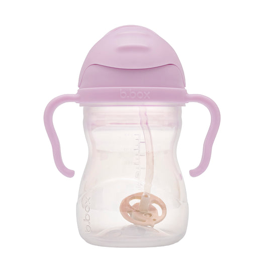 シッピーカップ（ストローマグ）/Sippy cup - boysenberry