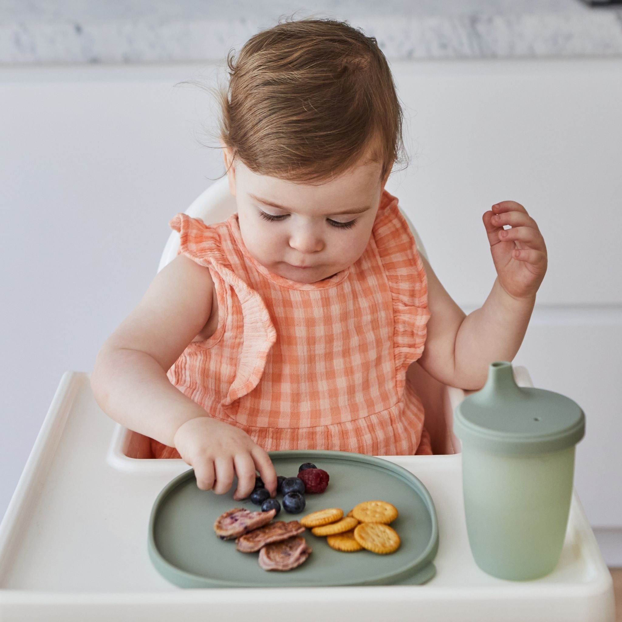 【New】シリコンプレート＋リッド（蓋・吸盤付き食器）/Silicone Plate+Lid - sage