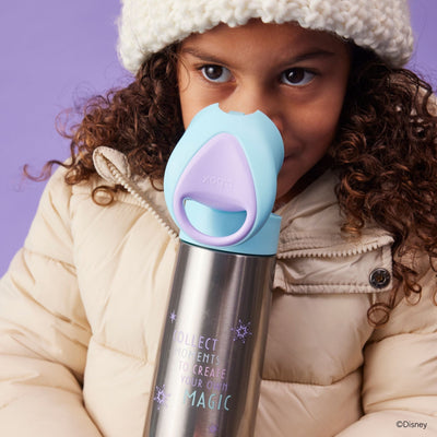 ディズニー ステンレスドリンクボトル 500ml（ステンレス製水筒）/Disney Insulated drink bottle 500ml - Frozen