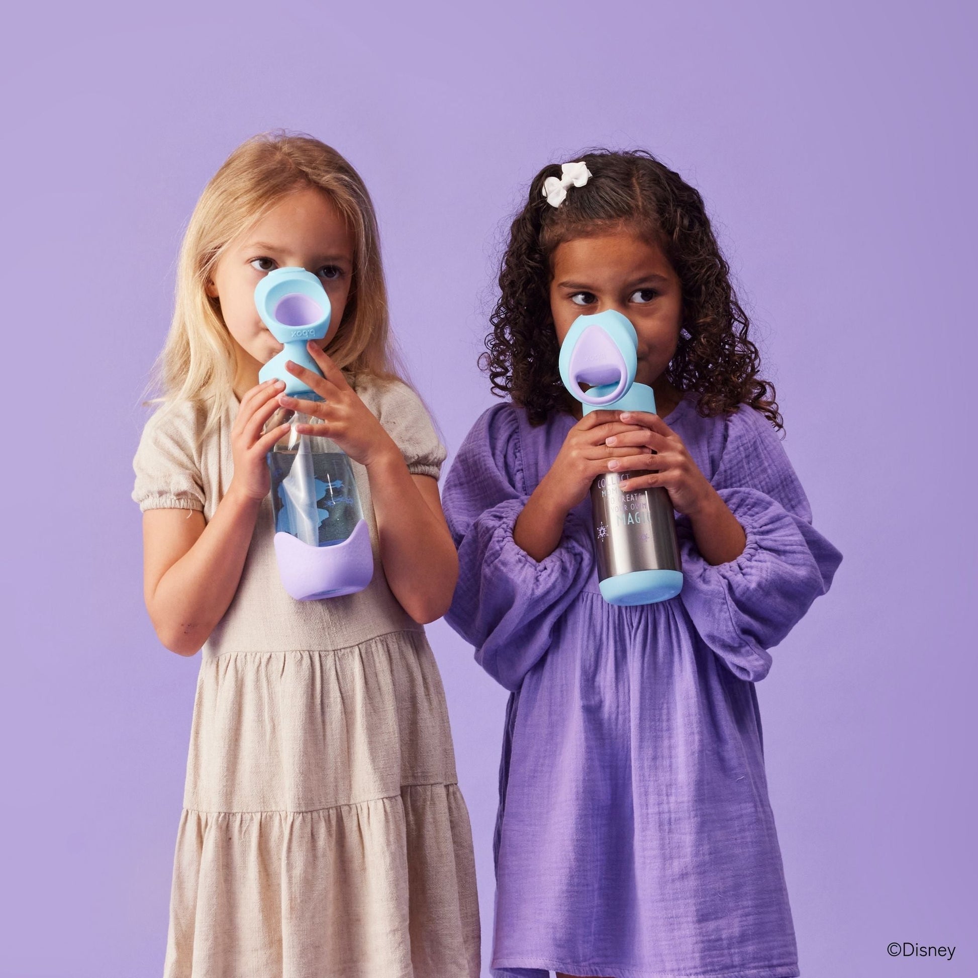 ディズニー ステンレスドリンクボトル 500ml（ステンレス製水筒）/Disney Insulated drink bottle 500ml - Frozen