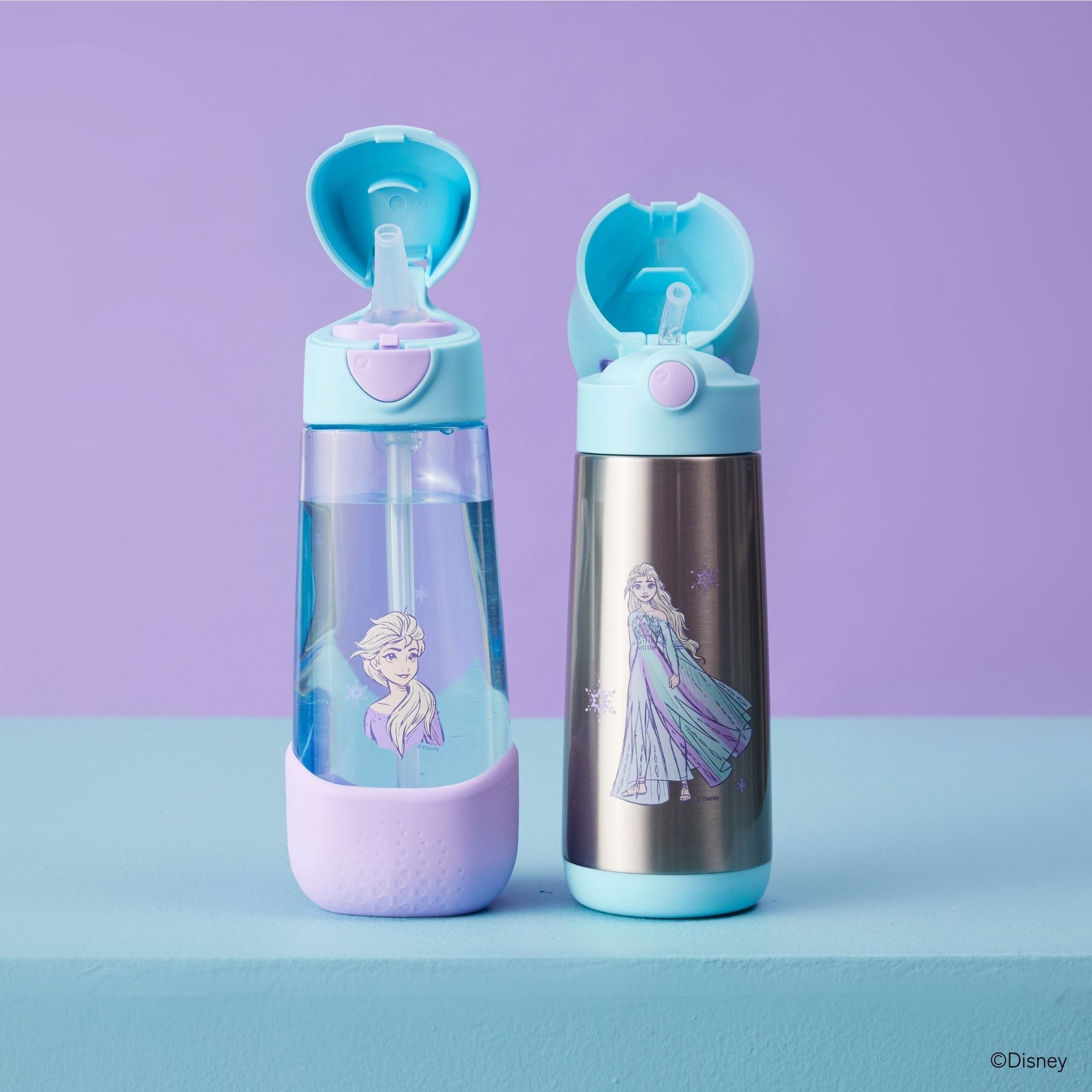 ディズニー ステンレスドリンクボトル 500ml（ステンレス製水筒）/Disney Insulated drink bottle 500ml