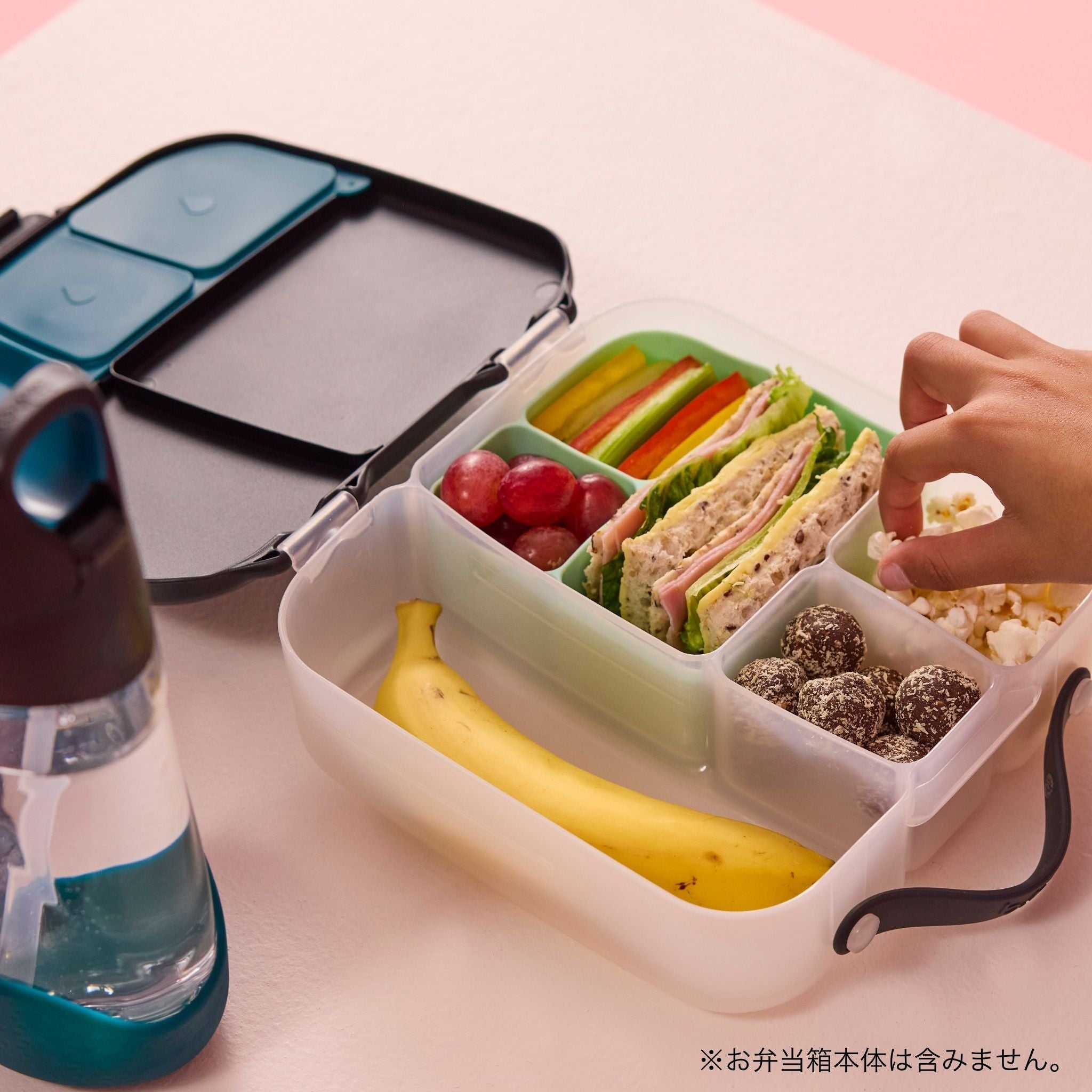 【New】ランチボックス用シリコンバディー /silicone bento buddy - lunch - forest