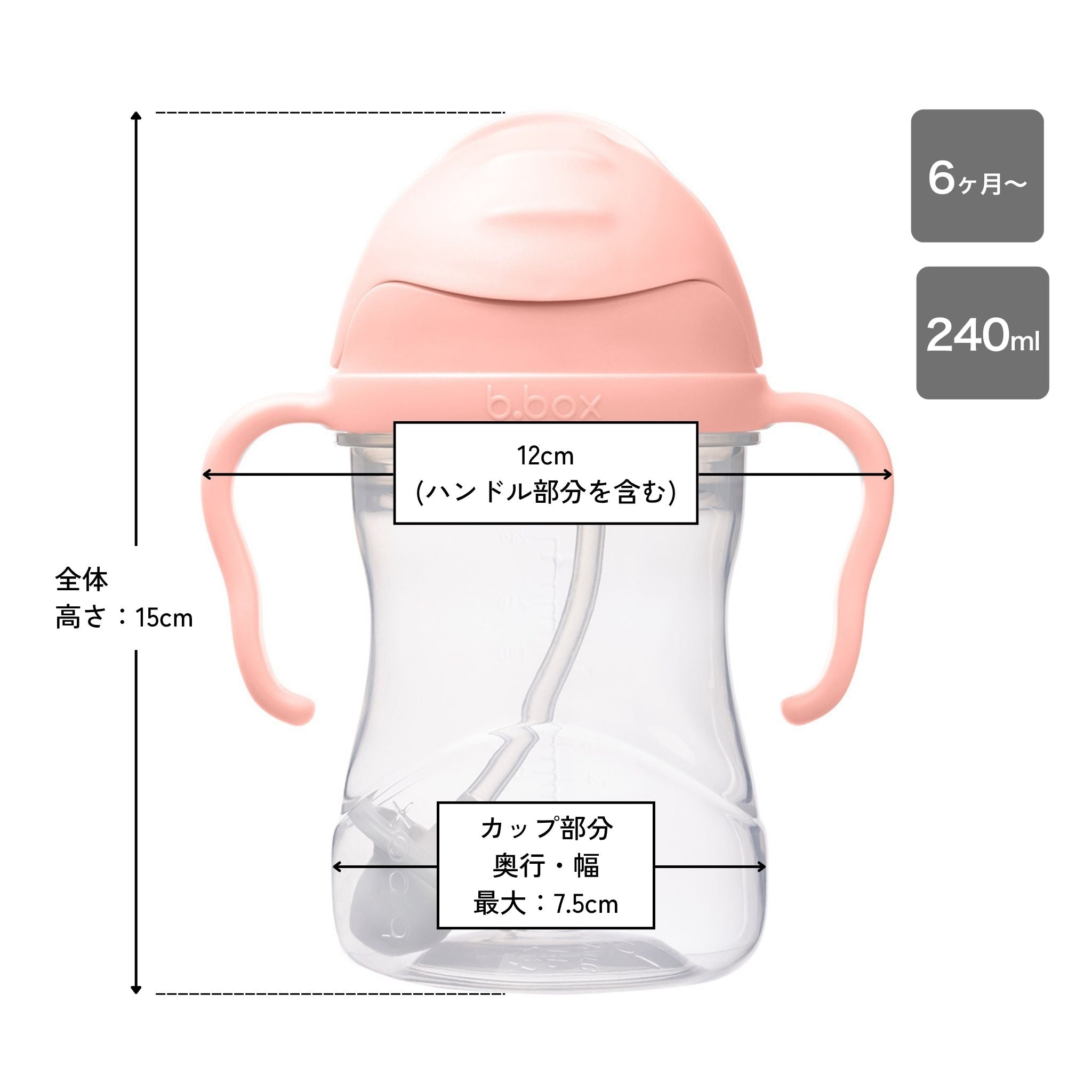 ビーボックスのマグtuttifruttiのサイズ