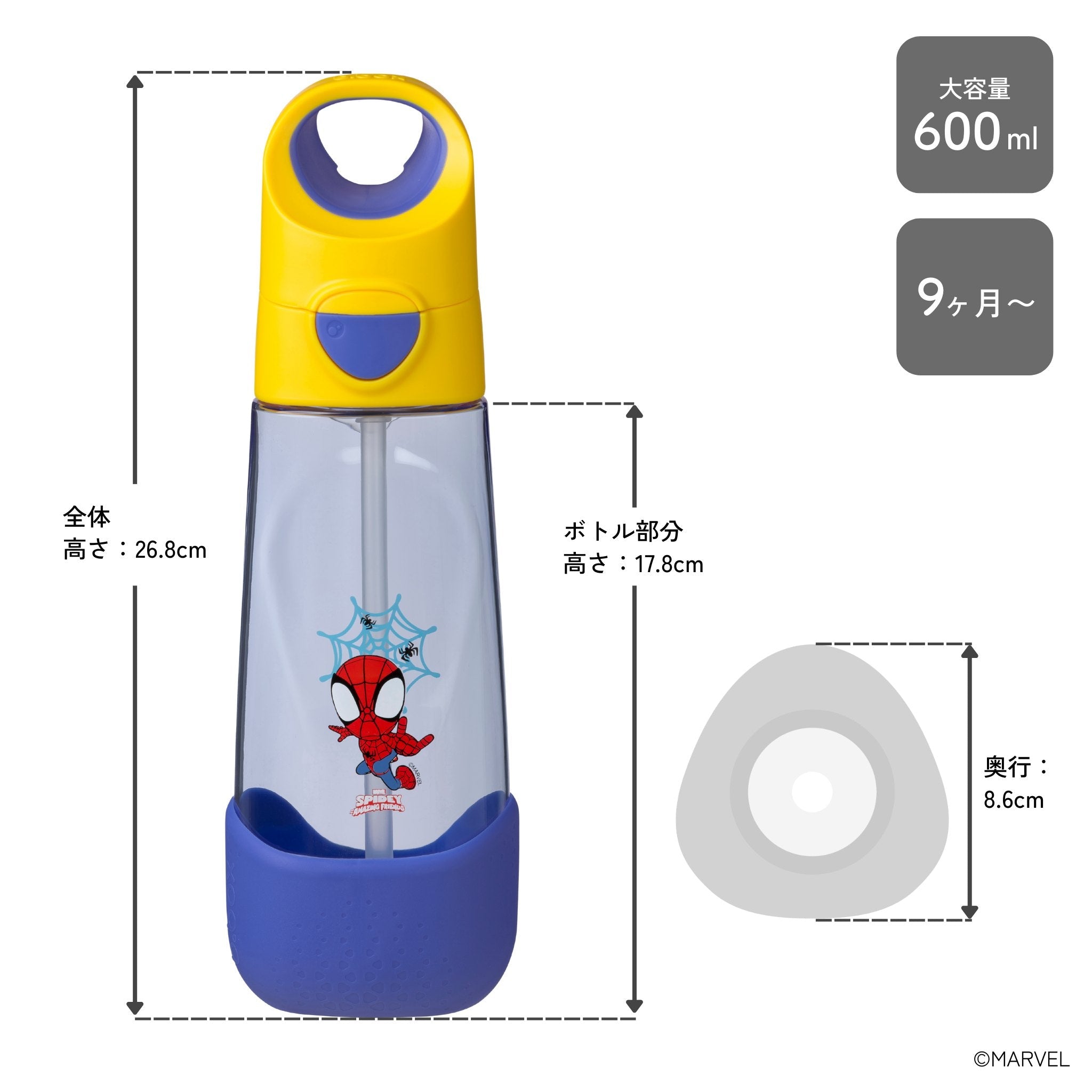 ビーボックスの「スパイダーマン」デザインの水筒のサイズ