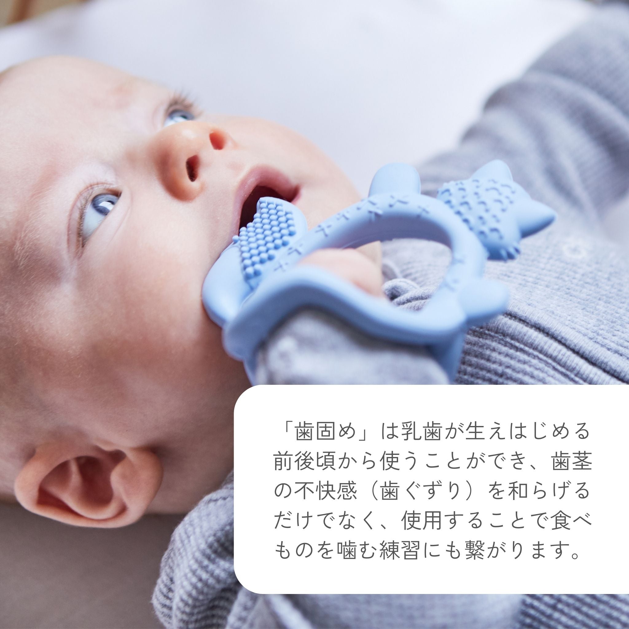歯固めのイラストと、歯固めの説明文。乳歯が生え始める前後から使え、歯茎の不快感を和らげ、噛む練習にもなると記載されている。